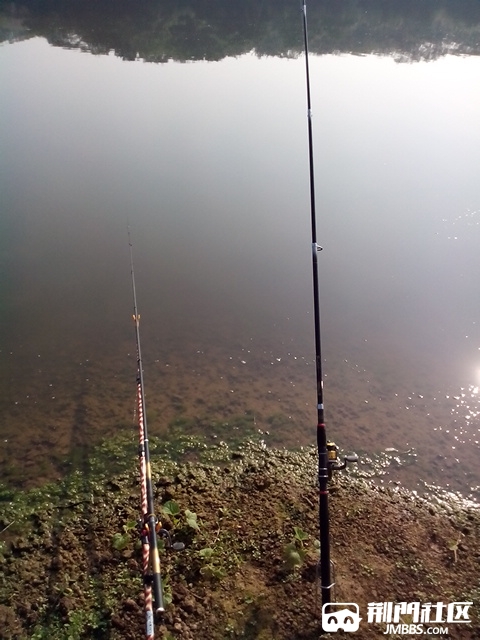 IMG_20140906_084823.jpg