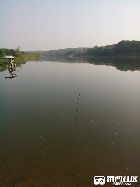 IMG_20140906_084836.jpg