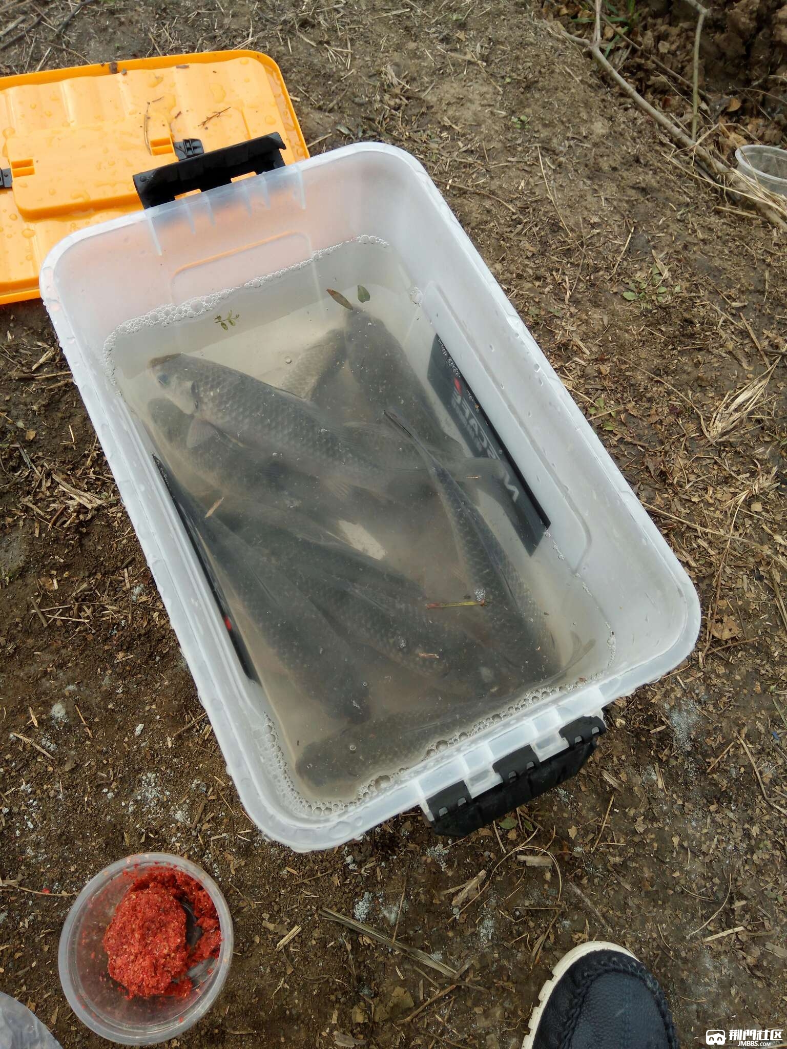 1483277234501.jpg