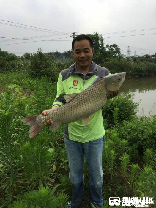 140506ox7wxx5qxqoq2mpm.jpg