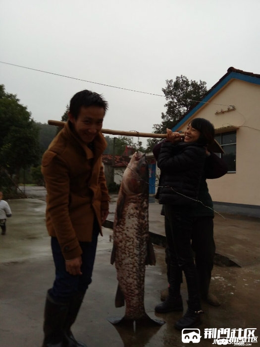 141932b051wzm08x65xxdz.jpg
