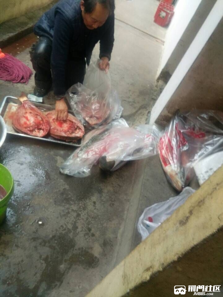 QQͼƬ20170109025934.jpg