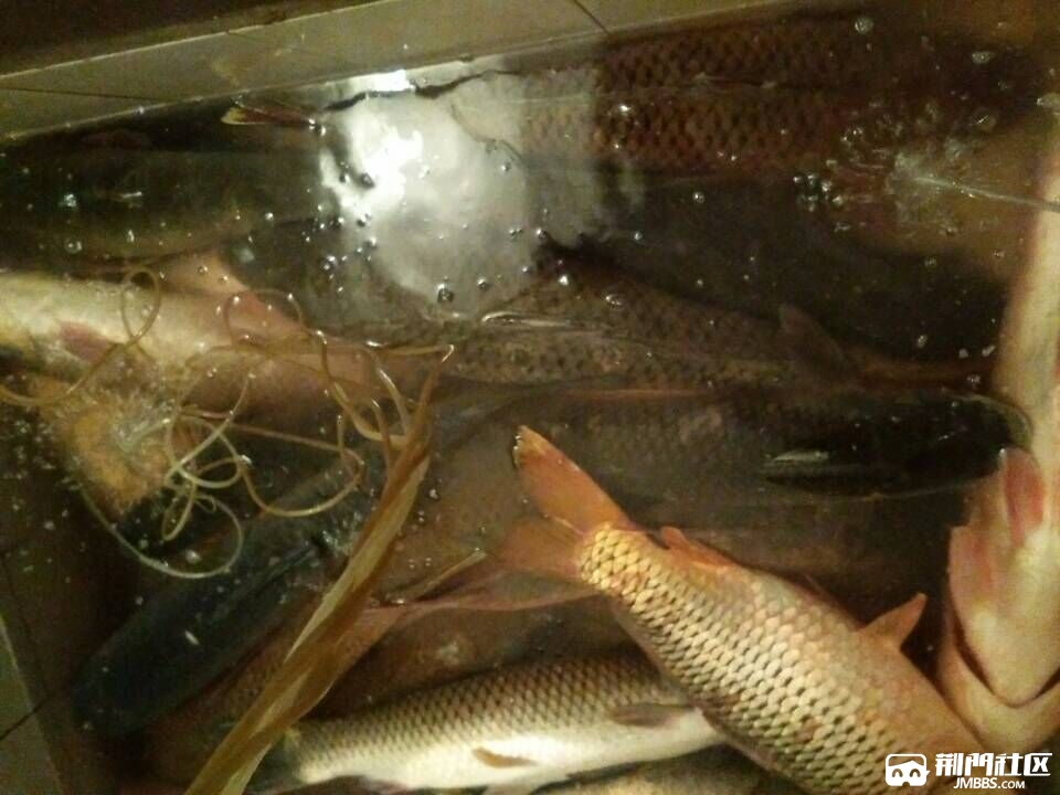 QQͼƬ20170109025945.jpg