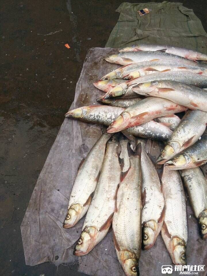 QQͼƬ20170109030019.jpg