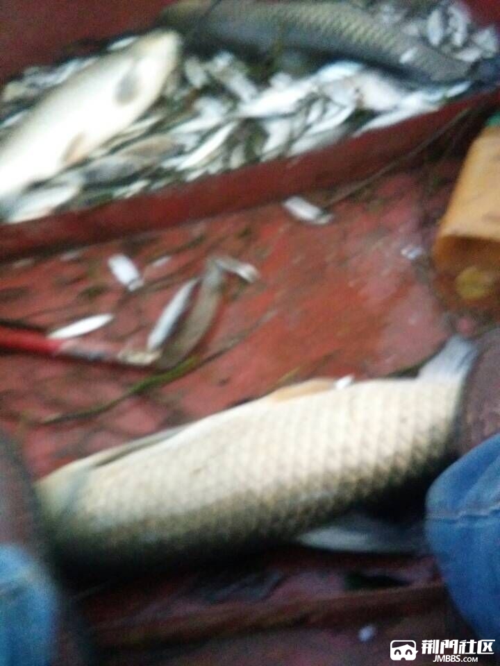 QQͼƬ20170109030027.jpg