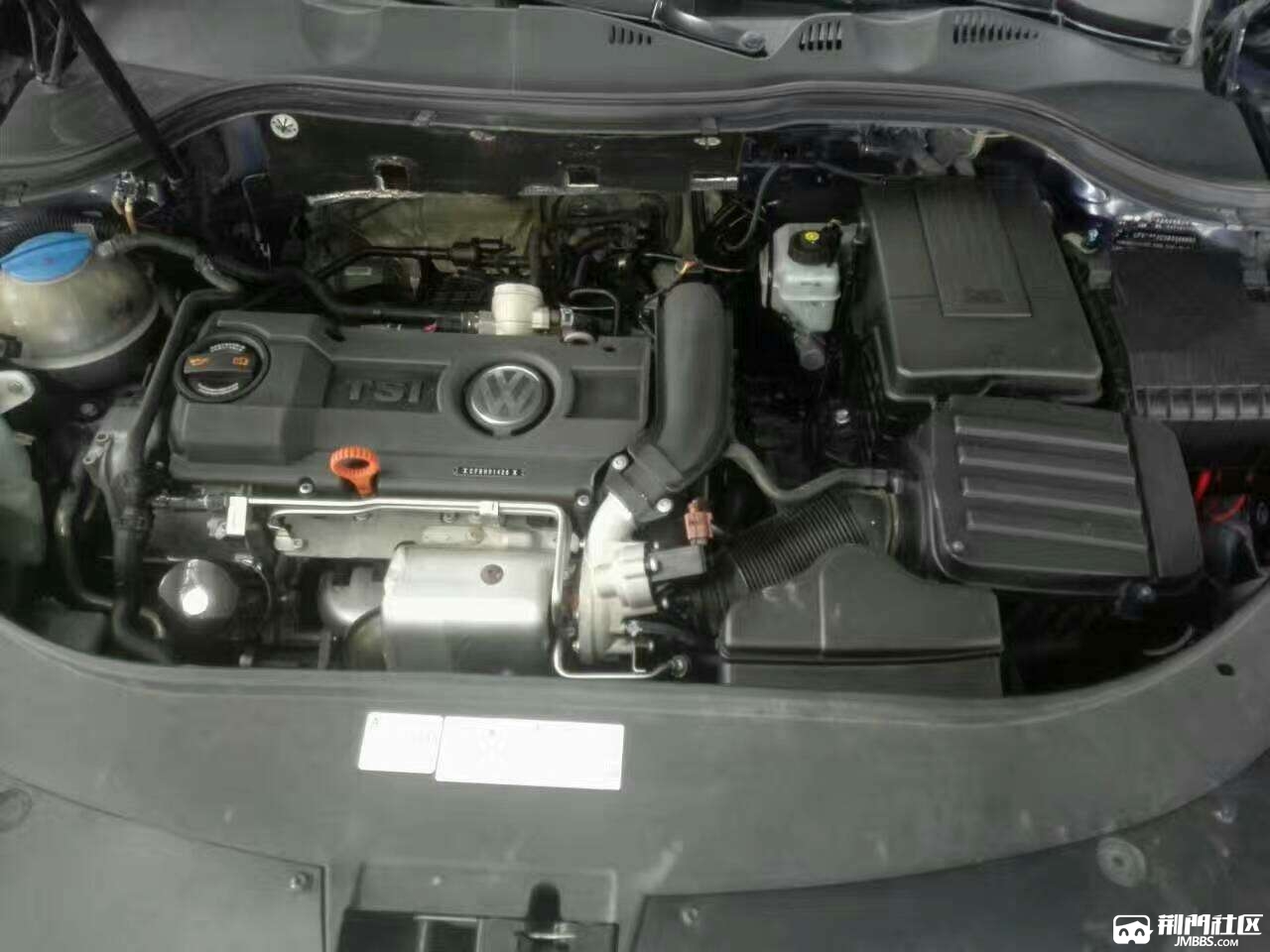 1484454826186.jpg