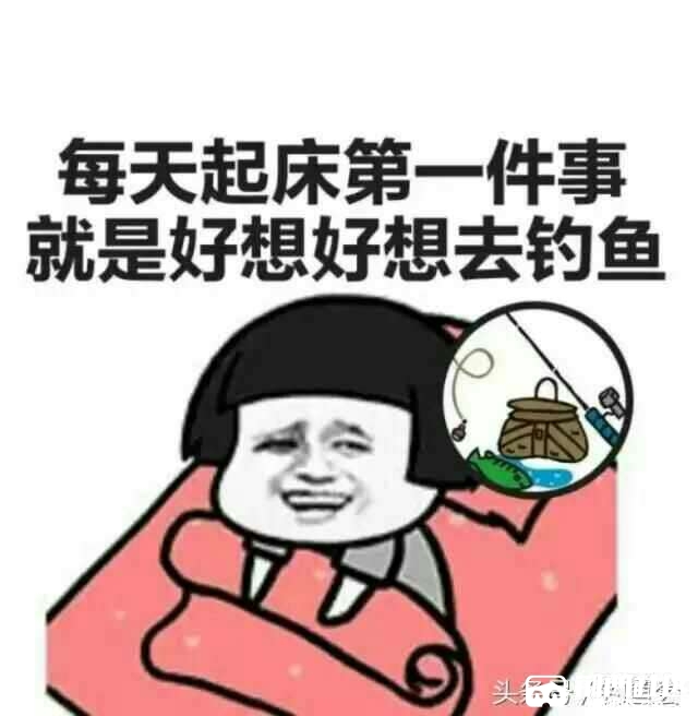 1484485123632.jpg