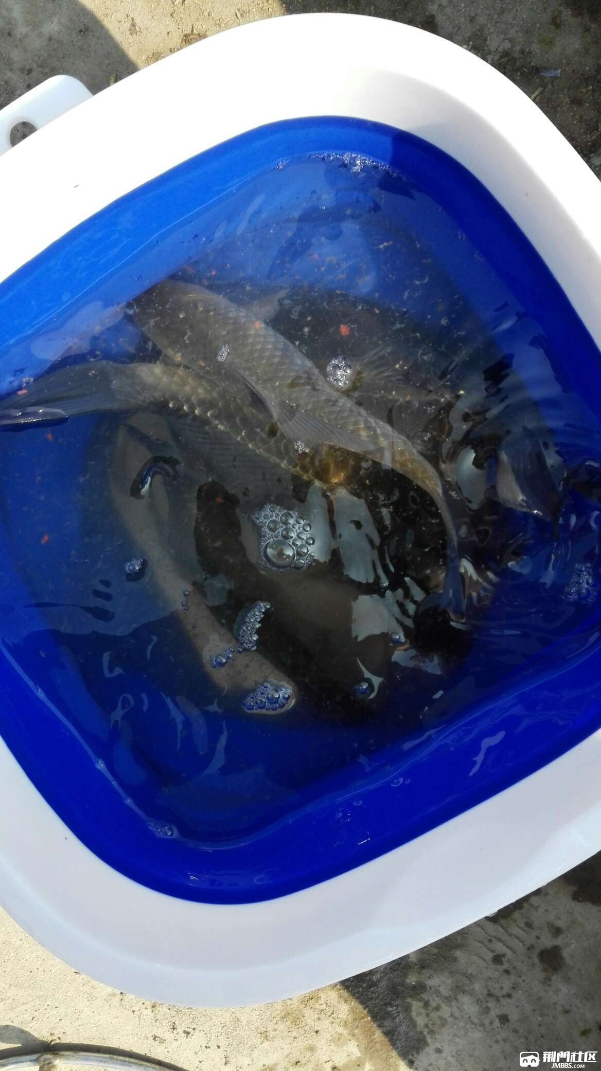 1486890898520.jpg