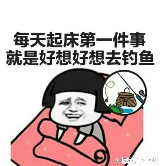 1487824363578.jpg