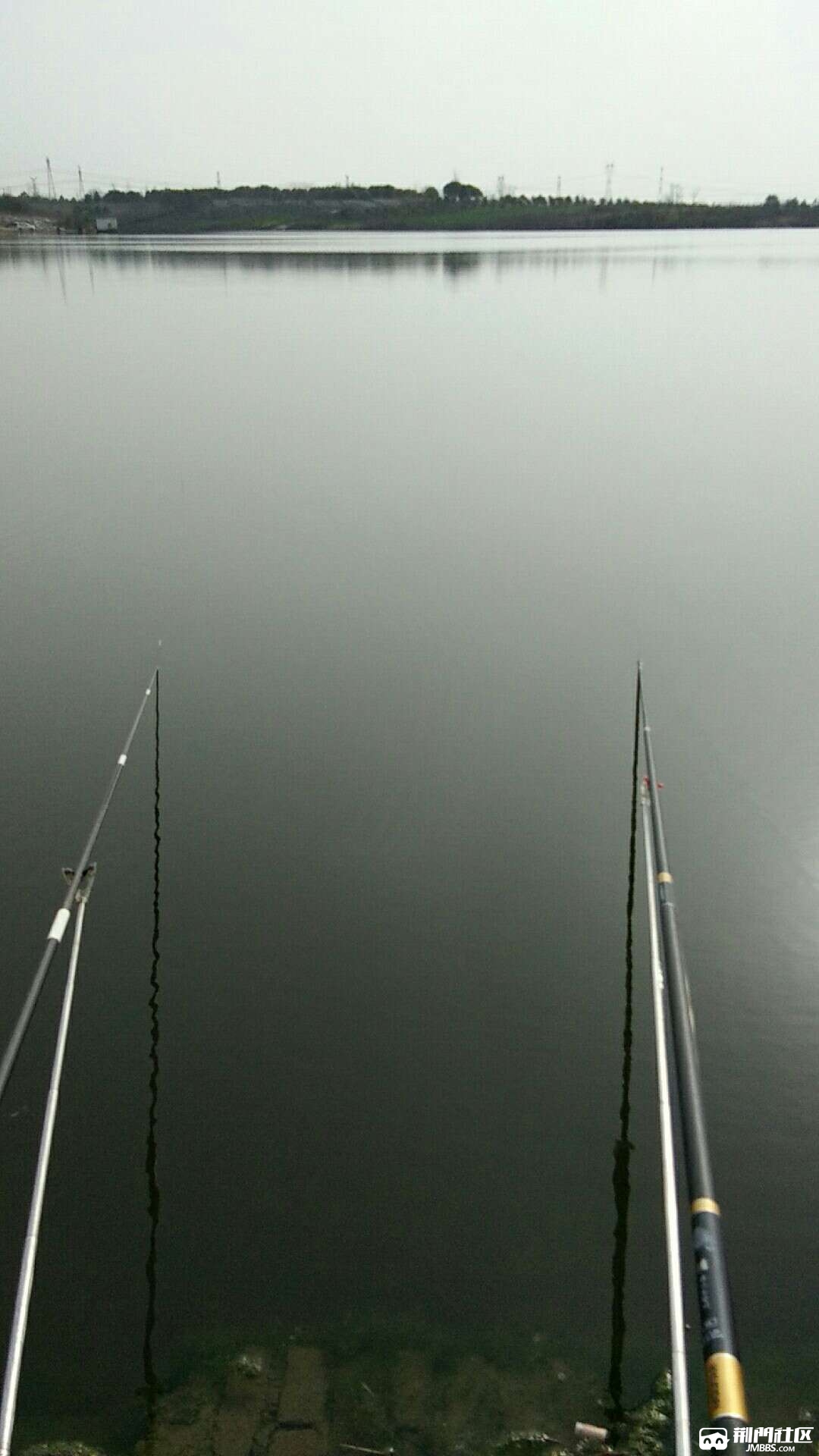 1488106904126.jpg