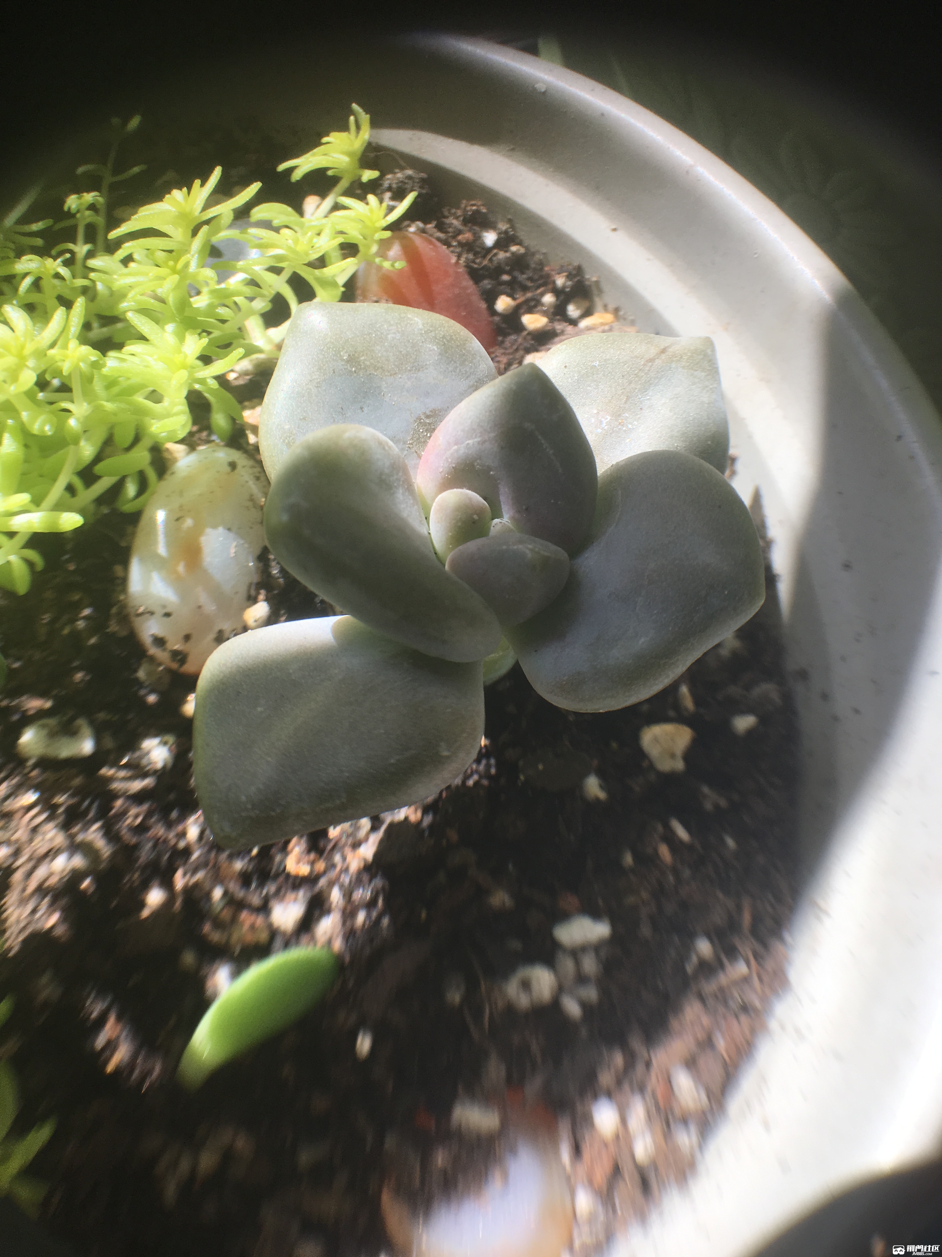 ������