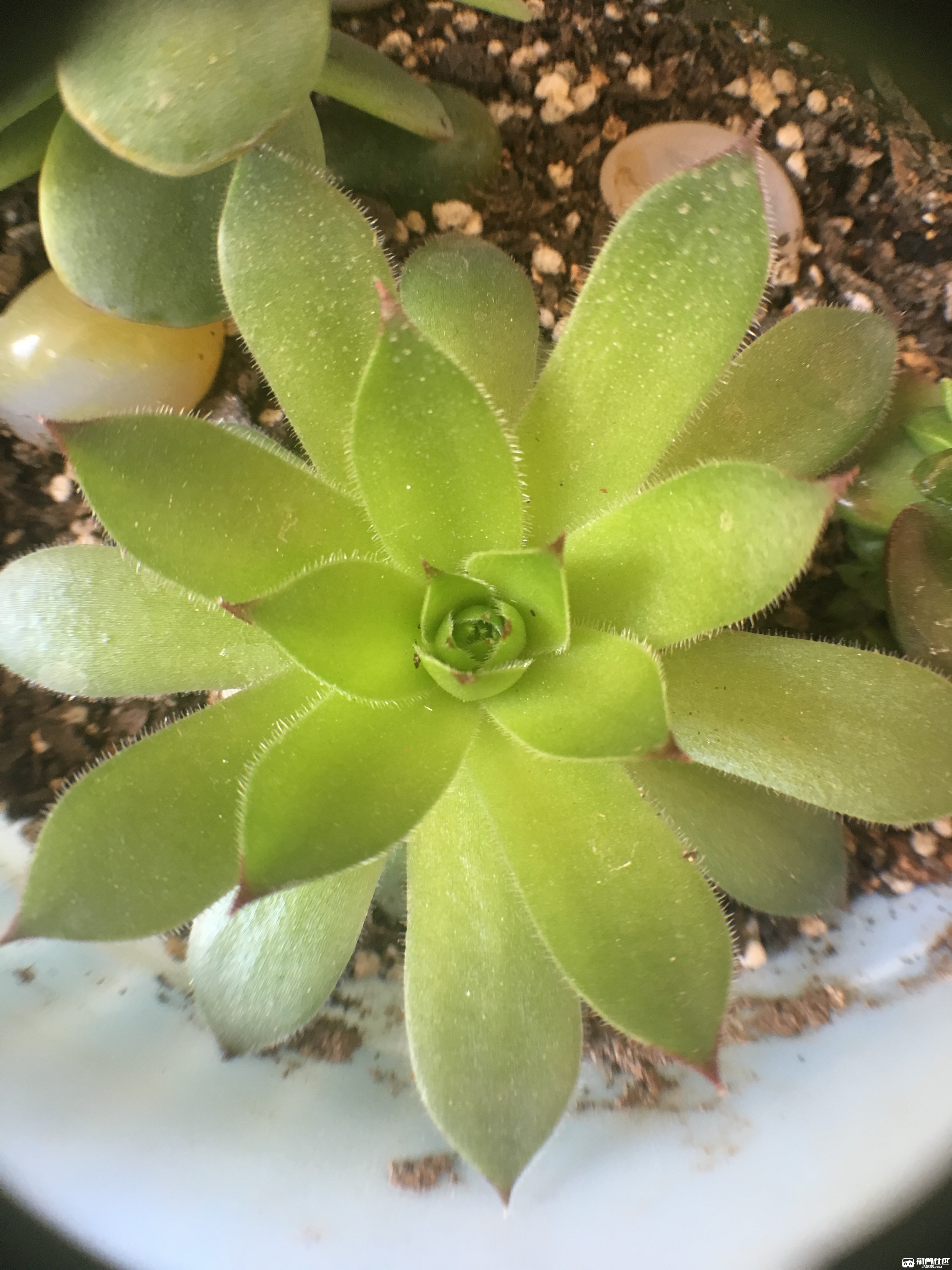������