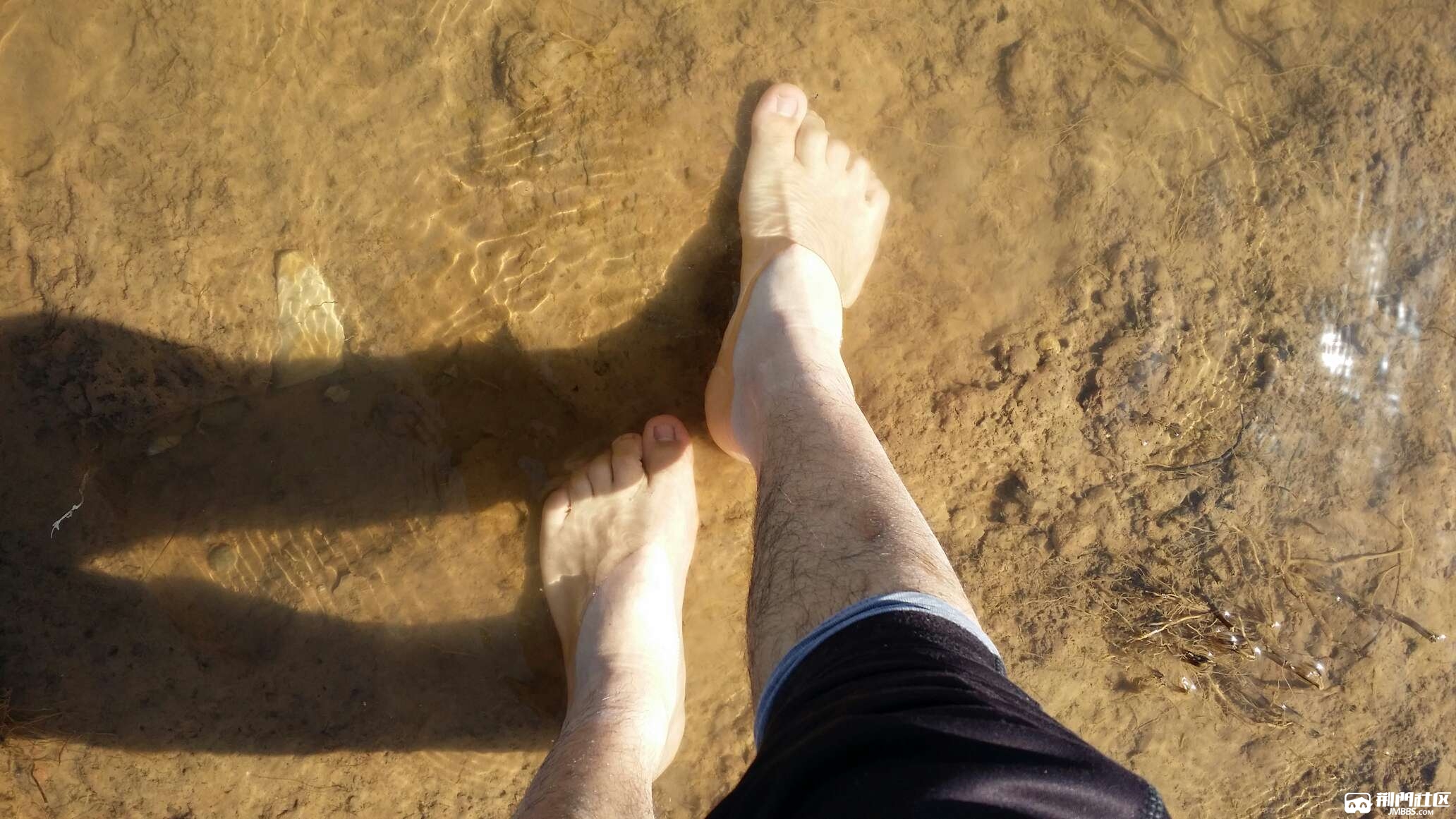 1488450030310.jpg