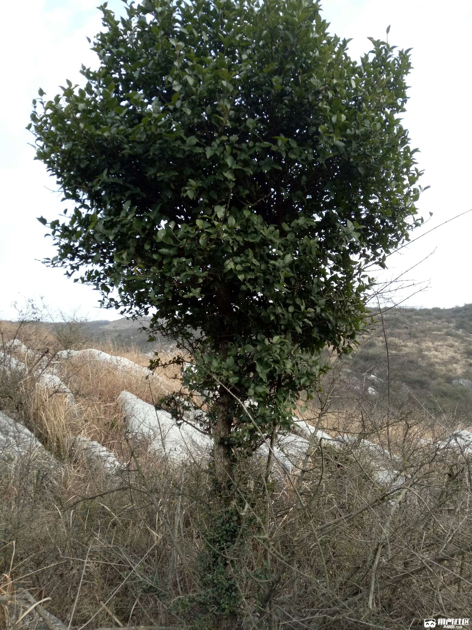 1488614419508.jpg