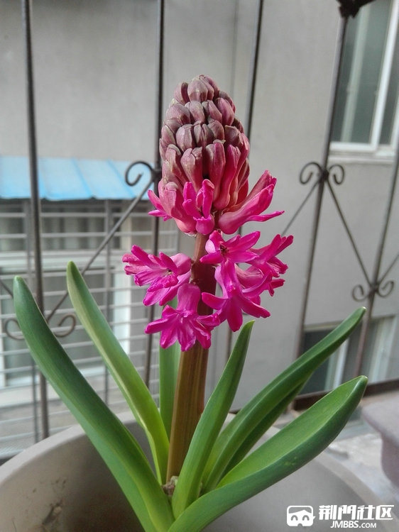 QQͼƬ20170304200437.jpg