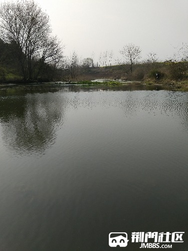 IMG_20170308_150738.jpg