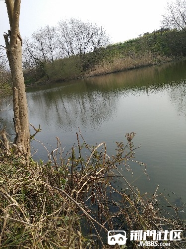 IMG_20170308_150742.jpg