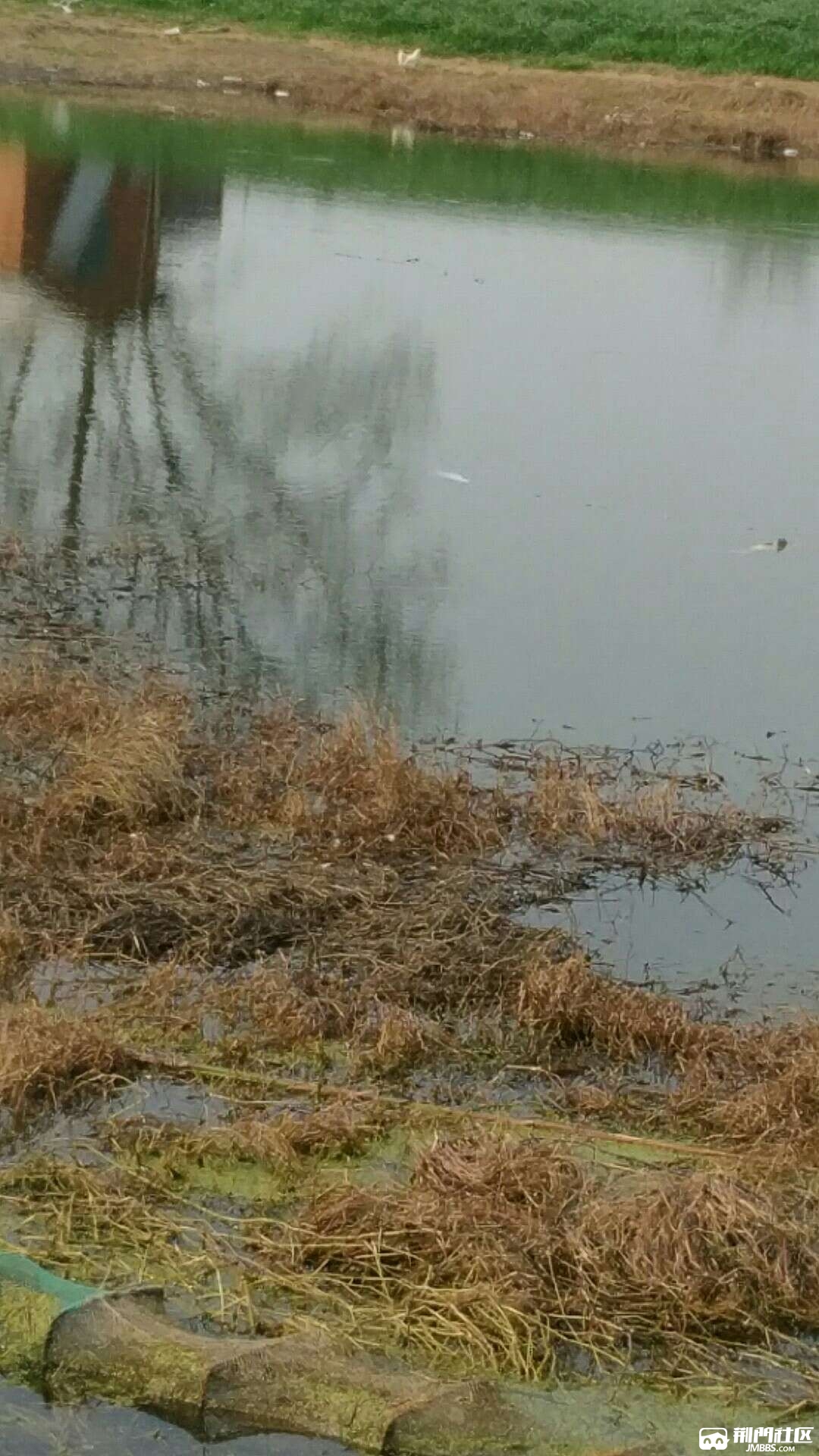 1488967032541.jpg
