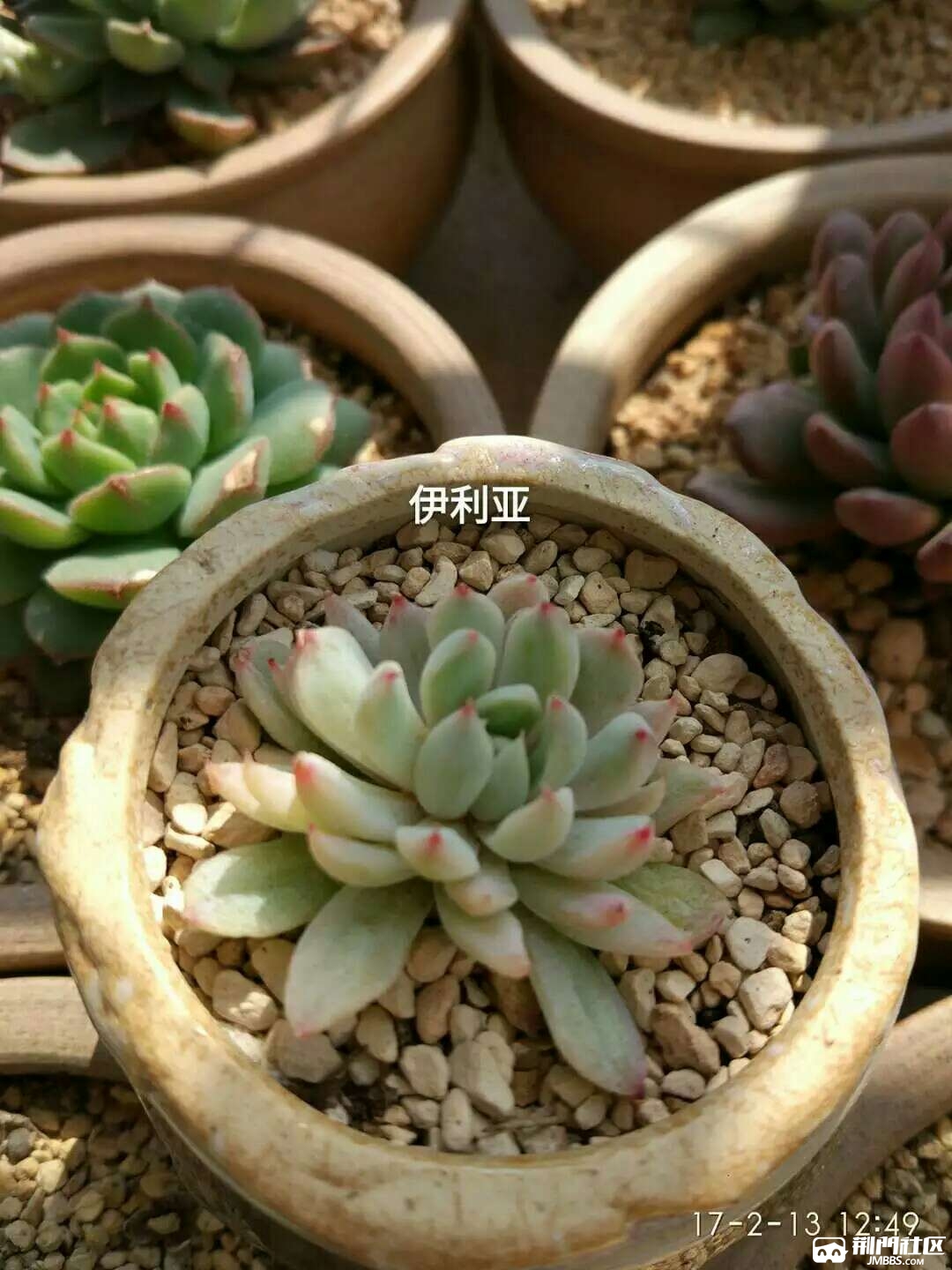 1489147318718.jpg