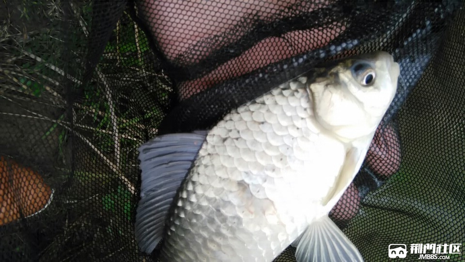 wx_camera_1489206771288.jpg