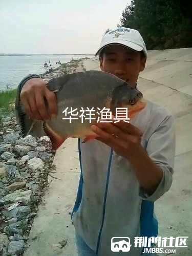 qq_pic_merged_1488188073769.jpg