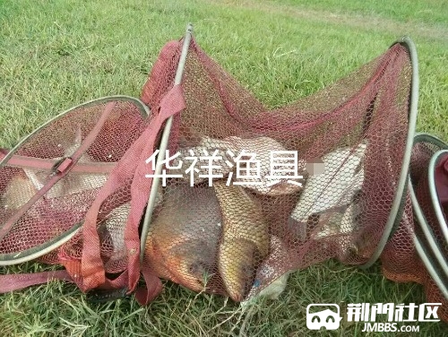 qq_pic_merged_1488187984931.jpg