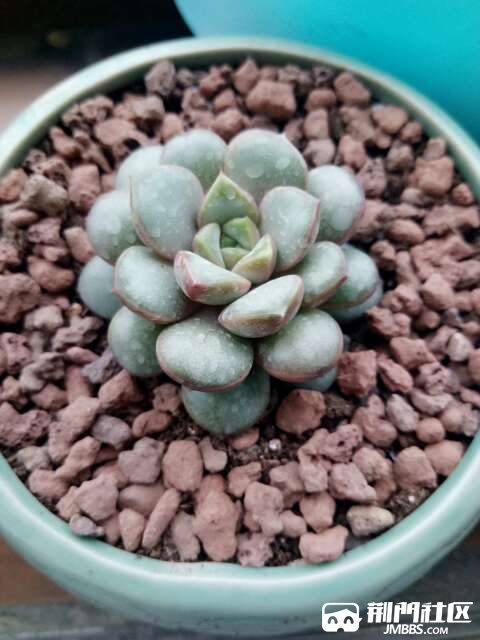 20170324_1317518_1490327129264.jpg