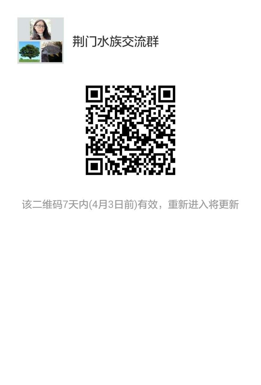 1490601250810.jpg
