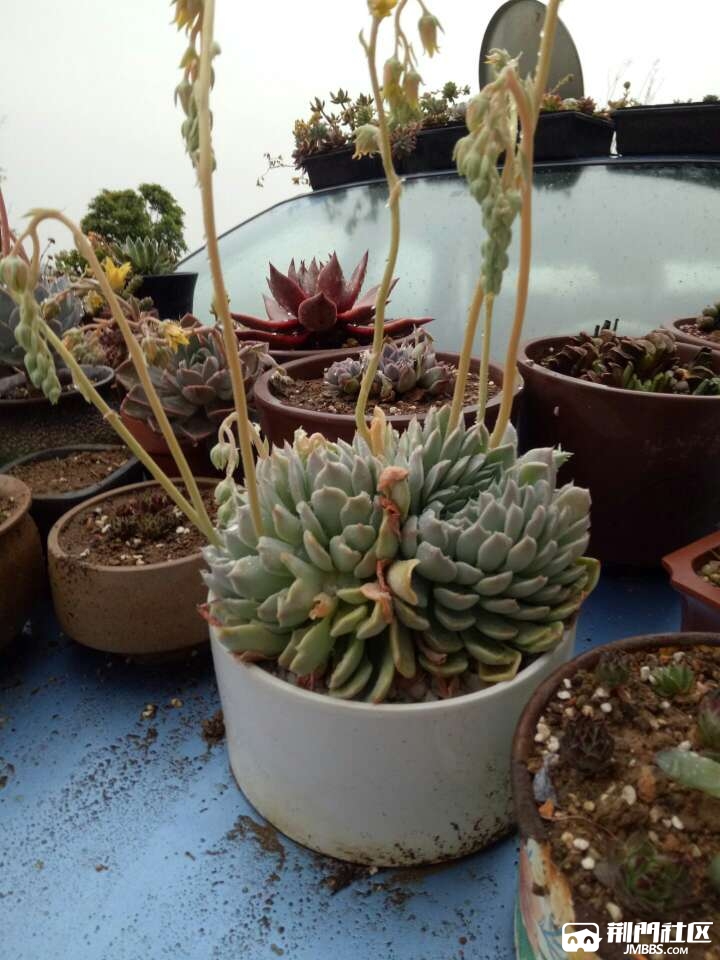 20170403_1045884_1491225490323.jpg