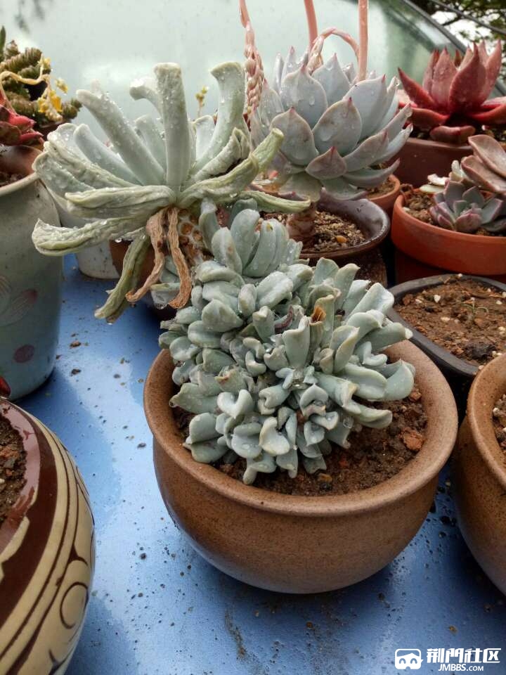 20170403_1045884_1491225490553.jpg