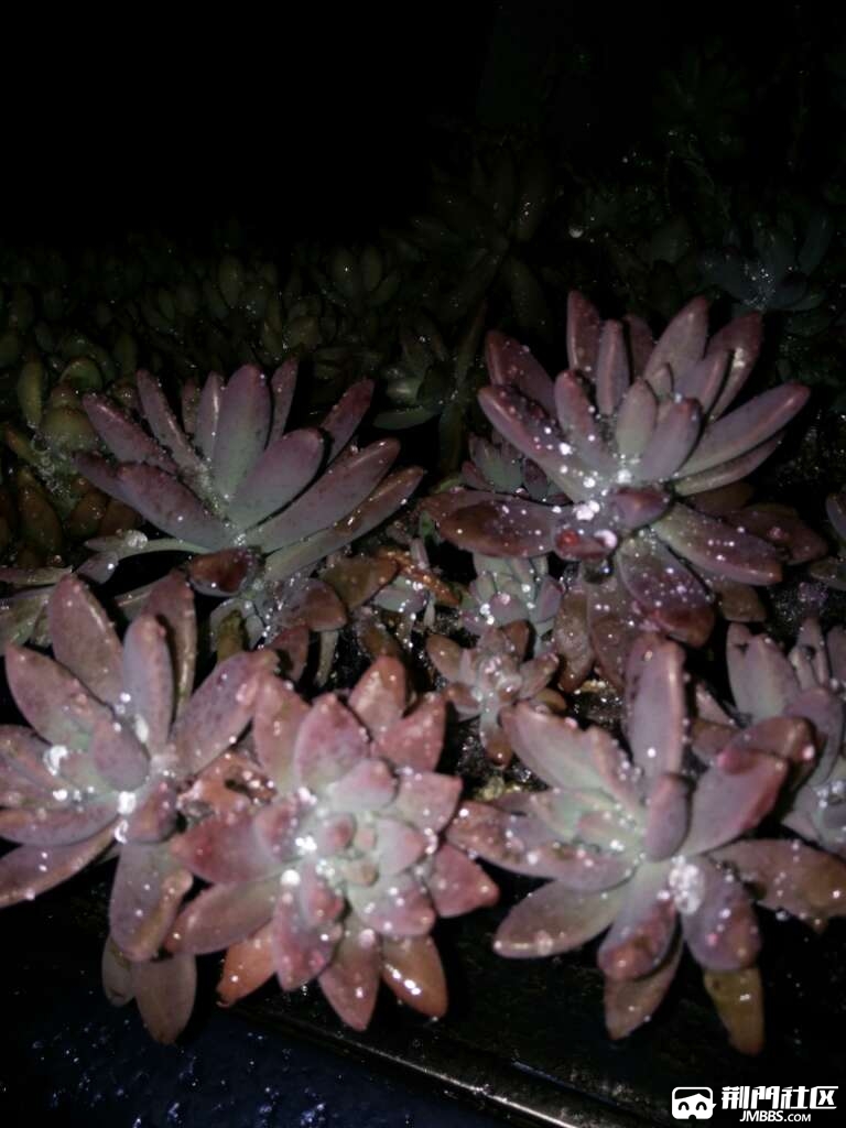 20170403_1045884_1491225756014.jpg