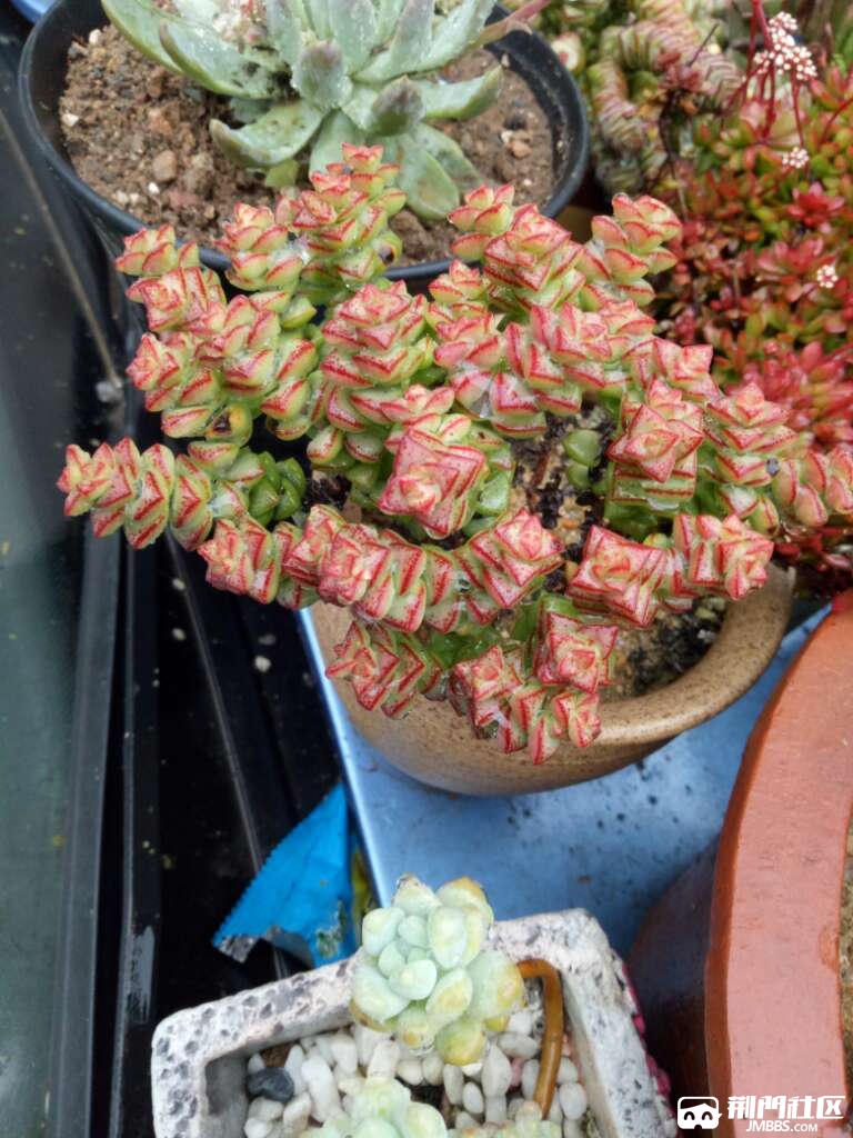 20170403_3218929_1491225778105.jpg