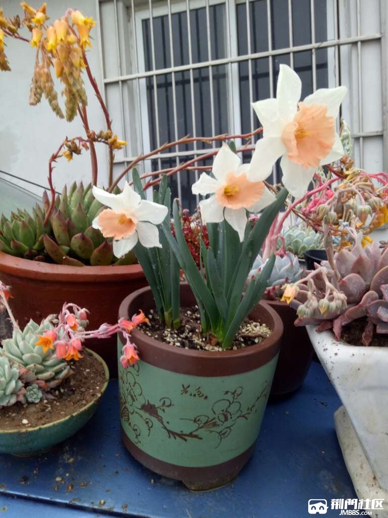 20170403_3218929_1491225777509.jpg