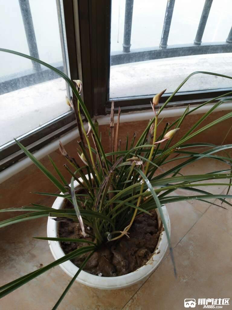 20170404_3391387_1491266980665.jpg