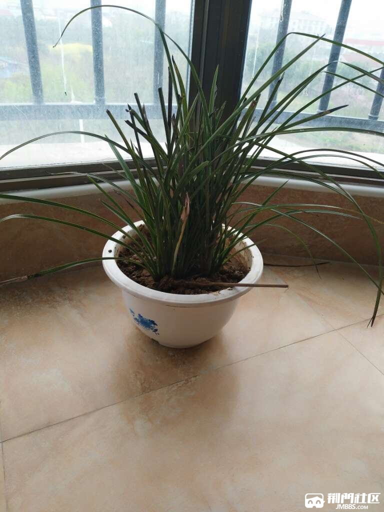20170404_3391387_1491266981613.jpg