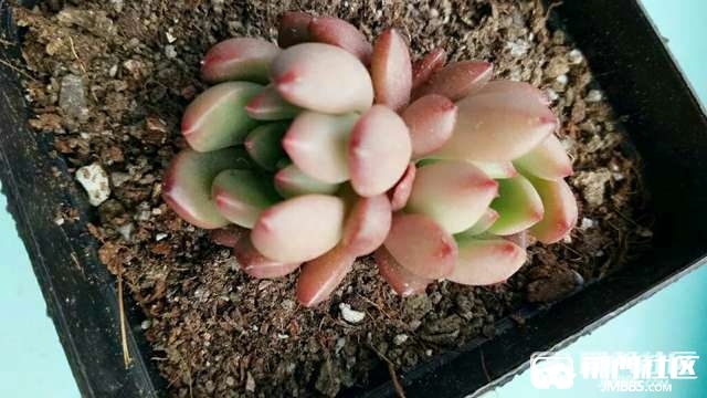 20170407_45802_1491527208955.jpg