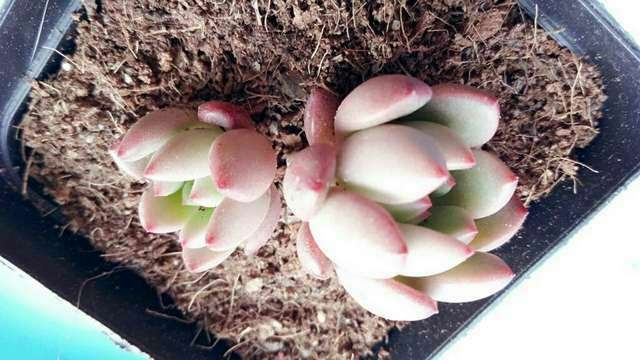 20170407_45802_1491527209041.jpg