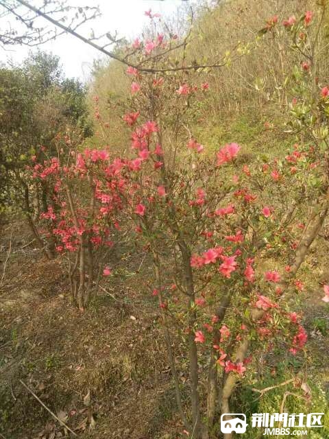 20170407_2987005_1491560417908.jpg