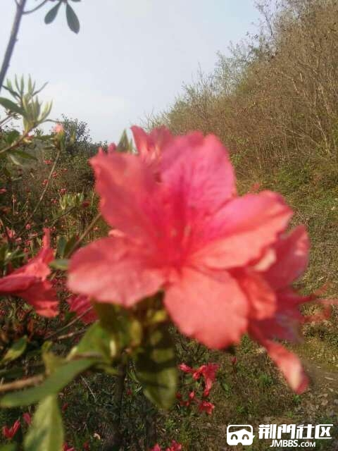 20170407_2987005_1491560437077.jpg