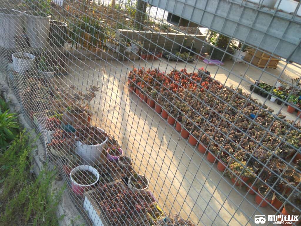 20170408_3143396_1491607637847.jpg