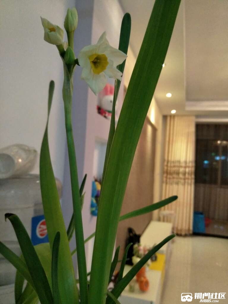 20170408_2192146_1491623306589.jpg