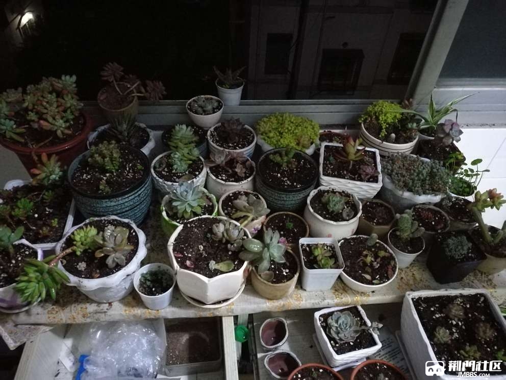 20170411_1715050_1491903226992.jpg