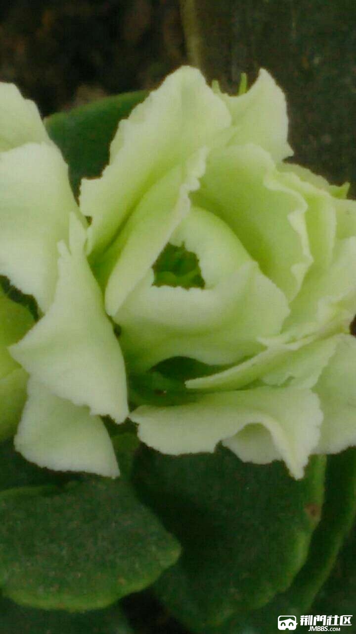 1492594510720.jpg