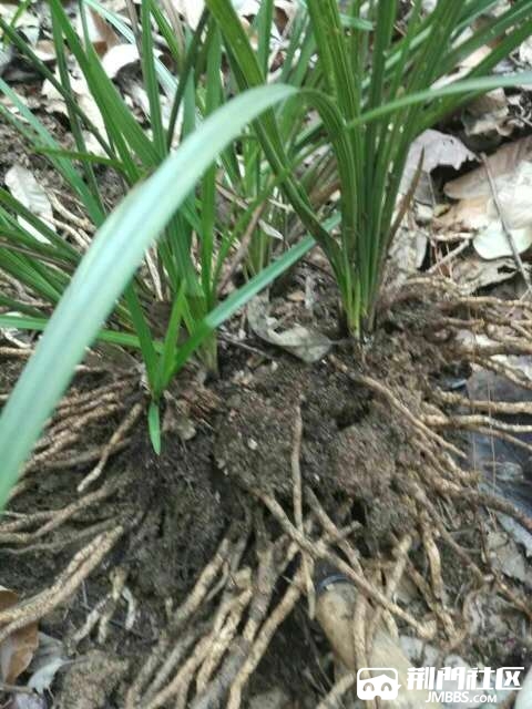 20170424_2683330_1493040145062.jpg