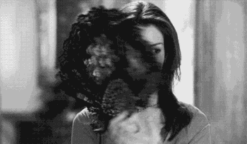 0.gif