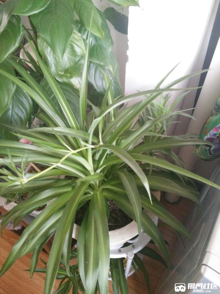 20170426_2733756_1493207943484.jpg