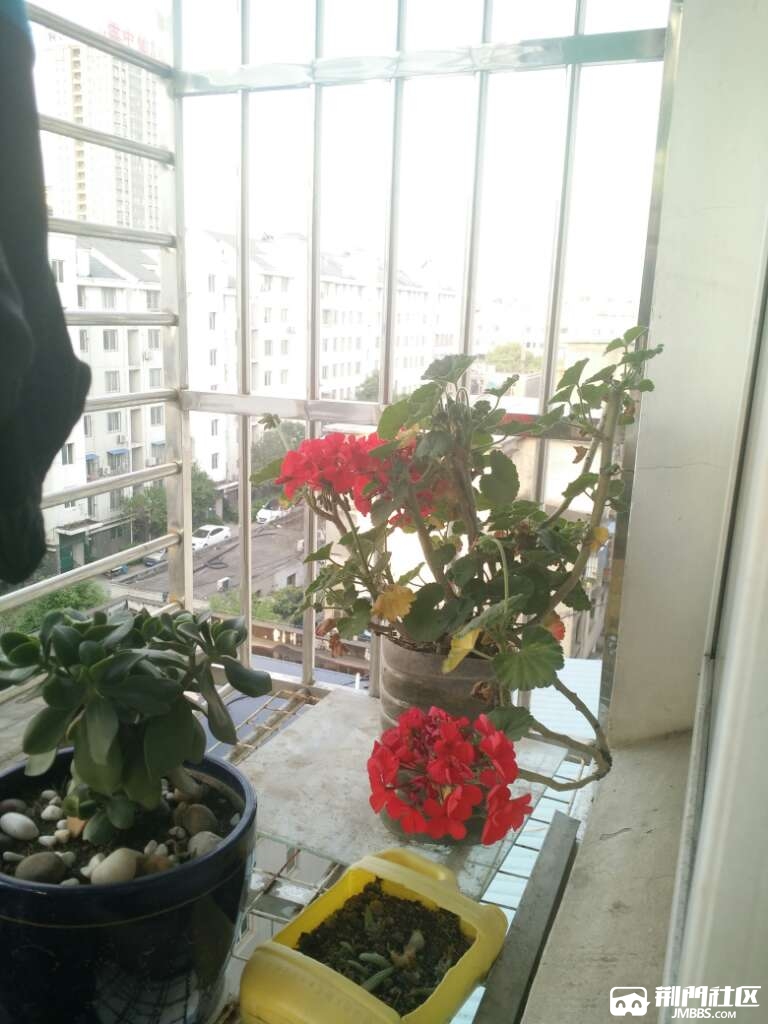 20170426_2733756_1493207945502.jpg