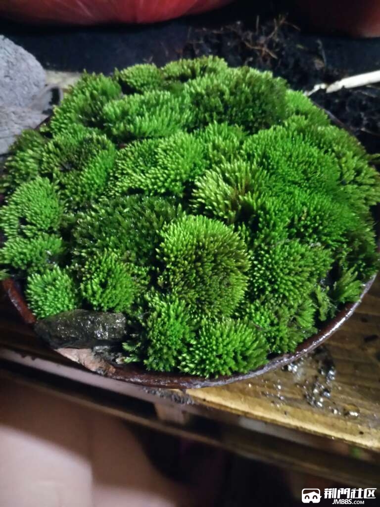 20170503_3379994_1493791380805.jpg