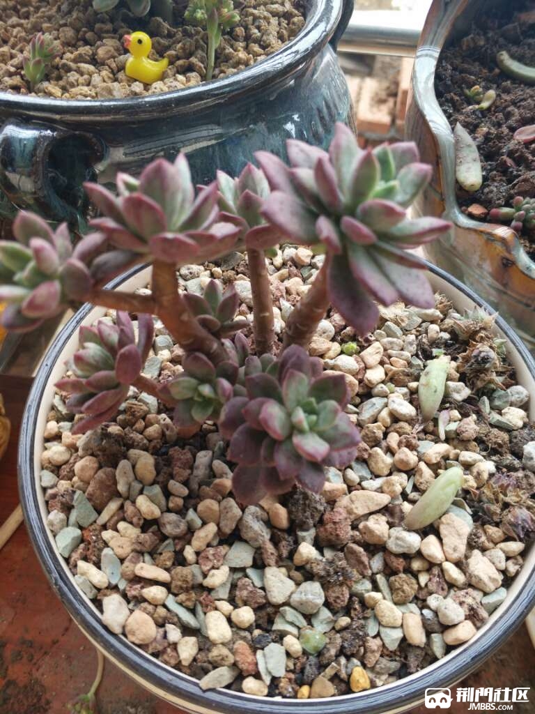 20170503_3379994_1493791381337.jpg