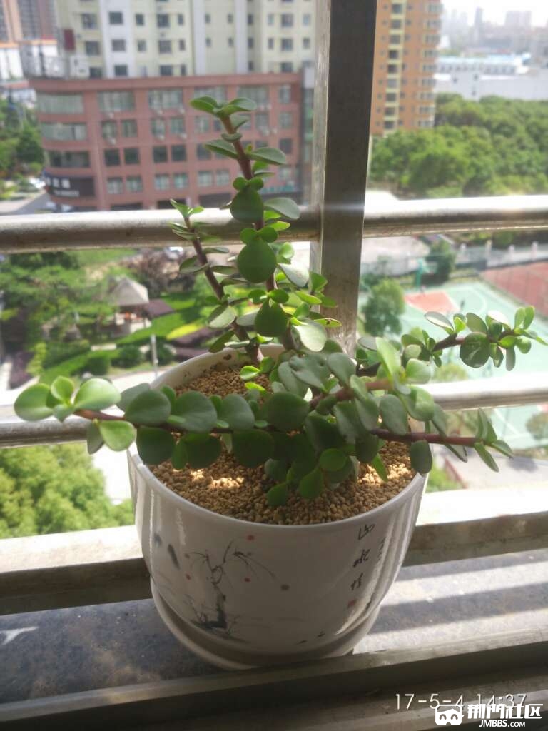 20170508_2983660_1494216358655.jpg